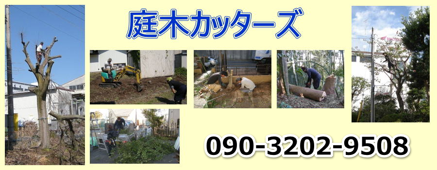庭木カッターズ | 朝倉市の庭木の伐採を承ります。